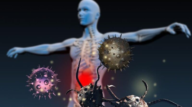 Saiba Como Fortalecer o Sistema Imunológico