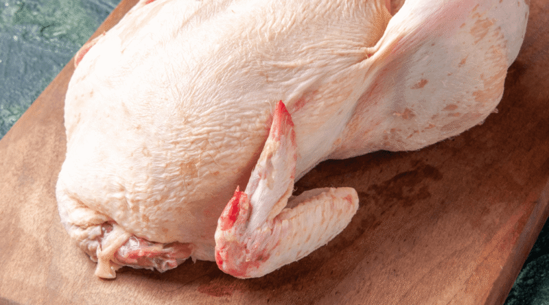 Do frango lavado ao pano de prato: 11 erros comuns que causam infecção