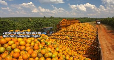 Botucatu  Lidera na Produção de Laranjas